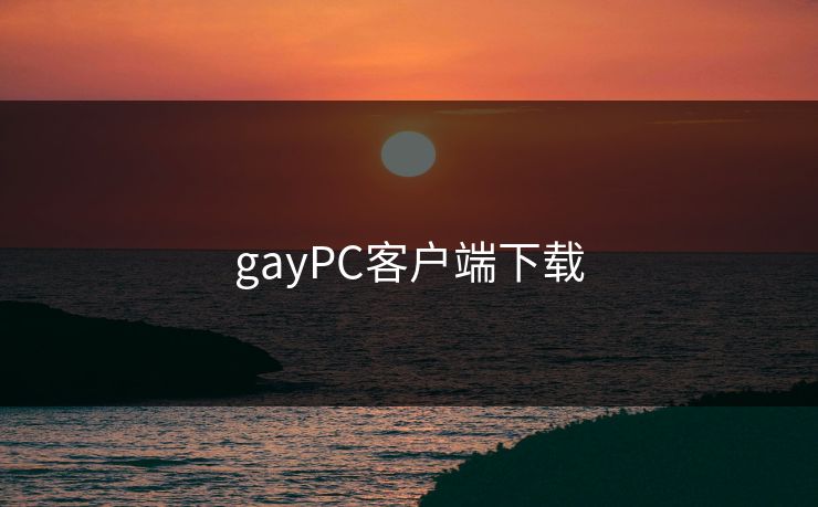 gayPC客户端下载