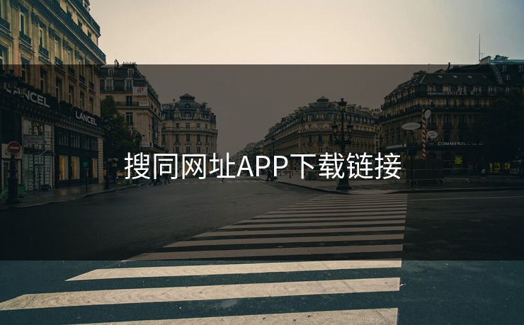 搜同网址APP下载链接