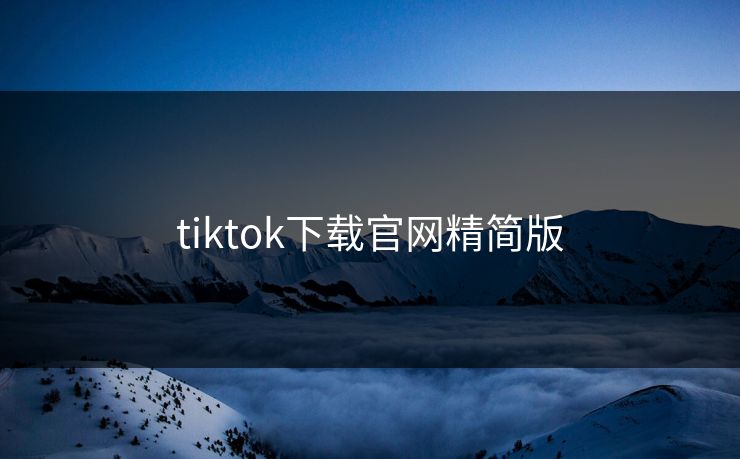 tiktok下载官网精简版