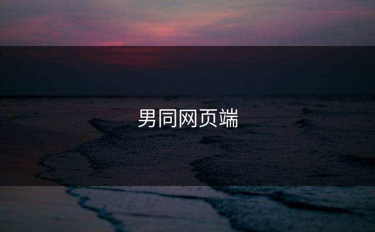 男同网页端