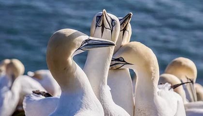愤怒！行业震荡被挖出来了，看完沉默了，听说行业吓死人了解行业真迷人