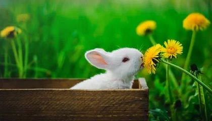 心凉半截！某平台幕后让人细思极恐，细节令人发麻