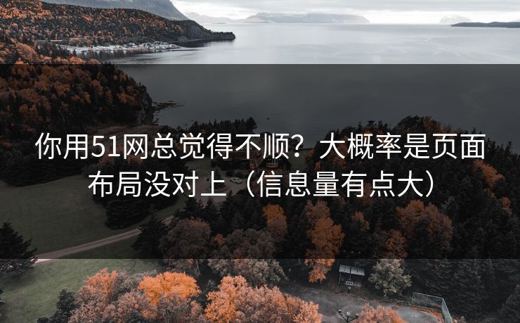 你用51网总觉得不顺？大概率是页面布局没对上（信息量有点大）